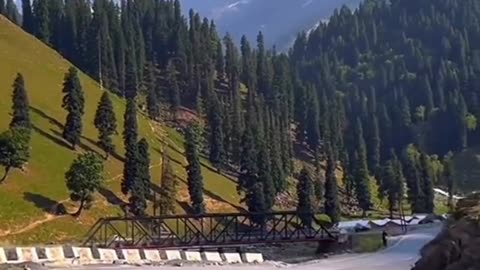 Kaghan Valley Summer Vibes