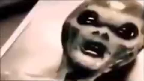 US MARINES ON <> REPTILIAN OR ALIENS <>