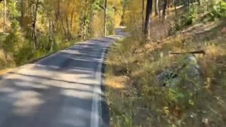 Ride with us through the Black Hills in South Dakota