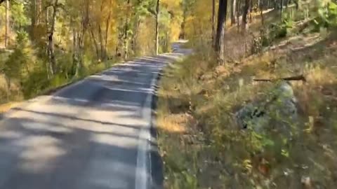 Ride with us through the Black Hills in South Dakota