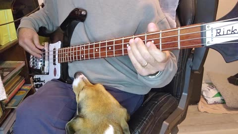 Squeeze - Up The Junction Bass Cover