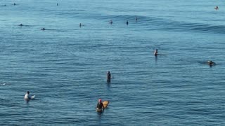 Kimo (Hawai'i Surf Guru} at the Ala Wai