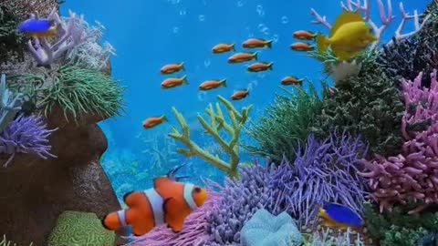 The beauty of underwater life with various types of beautiful fish