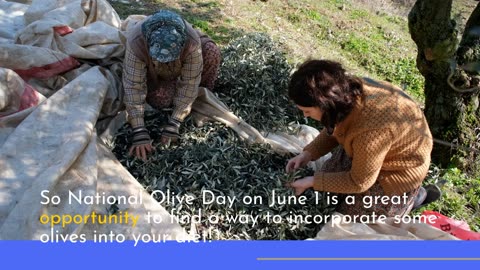 Lets Celebrate National Olive Day on June 1, 2023, Do You Love Olives
