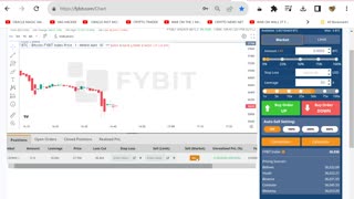 227% BTC Shorting On FYBIT