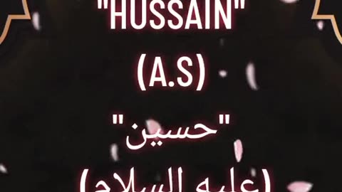 Hussain A.S.