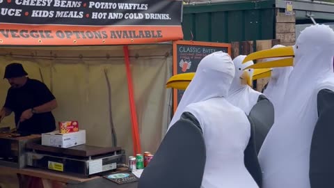 Street Seagulls Discover Fish Food Stall At Glastonbury