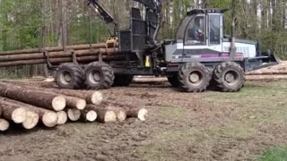 If you want to be efficient in the sawmill,