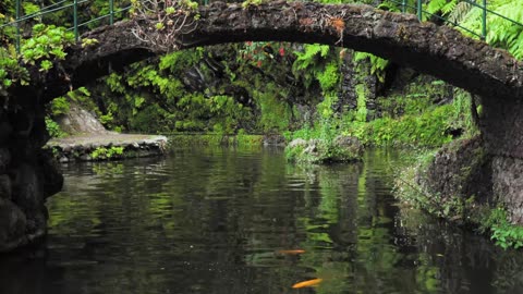 Beautiful Indian nature