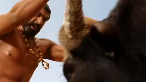 Bahubali ( bull fight scence)