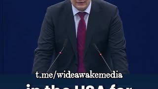 Croatian MEP, Mislav Kolakušić speaks at the EU.