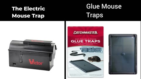 A History Of Different Mouse Traps