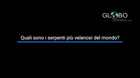 Top 5 serpenti più velenosi al mondo - i nomi scientifici delle specie