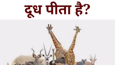 Gk short video|Gk short|Gk question in hindi|General Knowledge #shorts #shortsfeed #fact #india