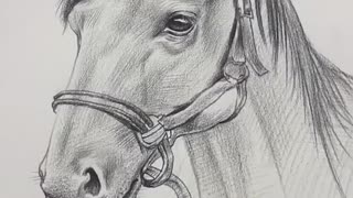 Amazing Pencil Drawing 3D Art Satisfying Horse