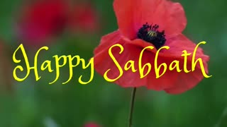 The sabbath was made for man, and not man for the sabbath: