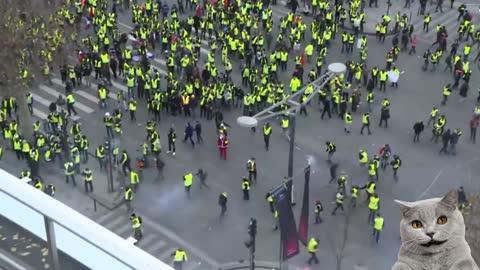 Yellow Vest Protest Explained
