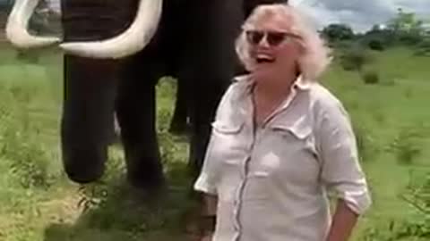 Elephant Takes off and Hides Woman's Hat in Mouth Then Returns it on Request