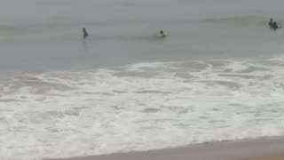 Praia de Itaparica 😗Hoje 12/04/23.video 01