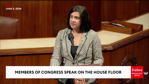 'Destroying This Country': Malliotakis Slams 'Radical Leftists' After A Migrant Shot 2 NYPD Officers