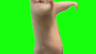 Chinese Hamster Dancing | Green Screen