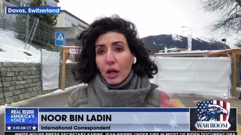 Noor Bin Ladin: Daily Mail Story - Prostitutes at Davos