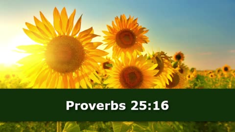 1 Minute -- Proverbs 25 Devotional -- August 25, 2023