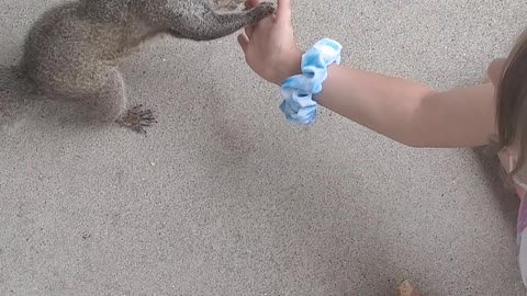 5-Year-Old Teaches Squirrel to High Five