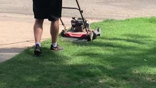Neighbor's Gone Wild Mowing Edition