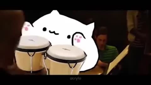 bongo cato