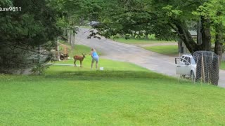 Lady stops to feed a deer