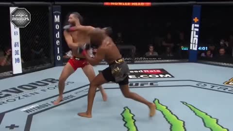 50 Most Brutal Knockouts in UFC