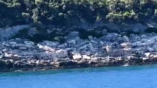 exploring dubrovnik & jumping off cliffs