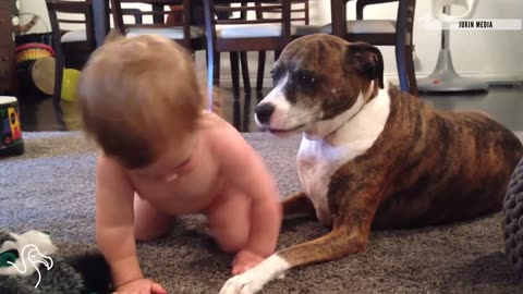 Dogs Taking Care Of Babies
