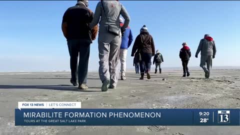 Rare geological formations again visible at Great Salt Lake