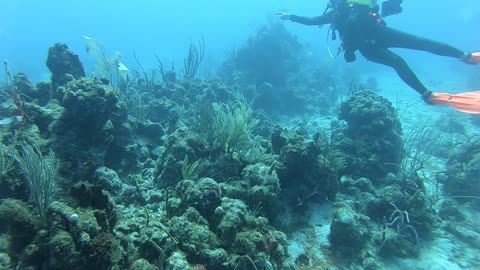 British Virgin Islands, Ginger's Island #1