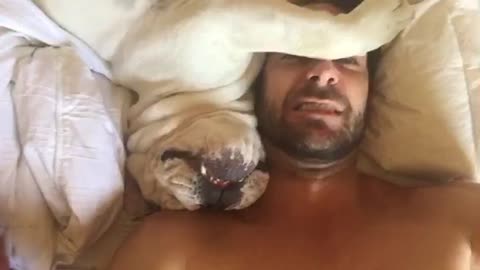 Grumpy Dog Sounds Hilarious When Being Woken Up!