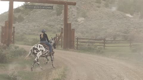 Poncho Wrangling thru HorseWorks Entryway