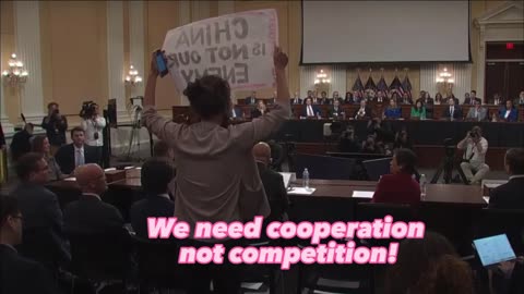 Congress's China "Competition" Committee Hearing