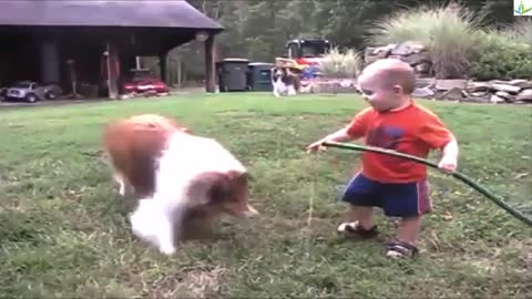 Baby and dog playing with hose Full HD