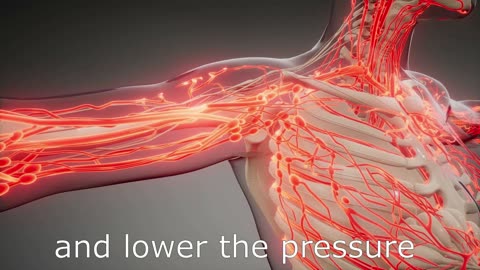 High or low blood pressure? Take Recover-Me Vascular,