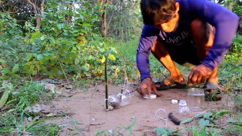 Creative Wild Cat Trap Using Plastic bottles With bamboo - Traditional Wildlife Trap That Work 100%