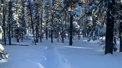 Majesty of the Mountain Snow – Central Oregon – Swampy Lakes Sno-Park – 4K