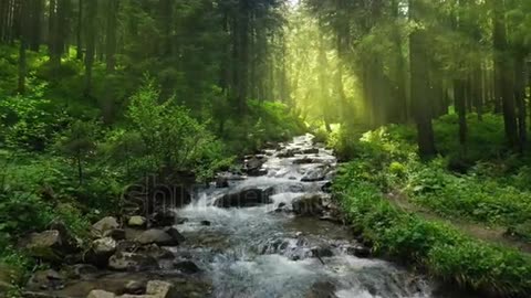 Nature river waterfall forest sun morning magical