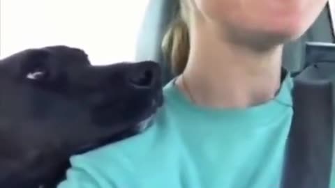 The dog knows that the woman saved her