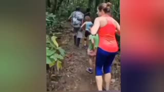 The family was scared by a cougar in a jungle.