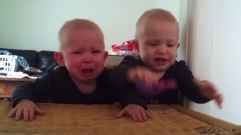 Twins fighting Over a Toothbrush