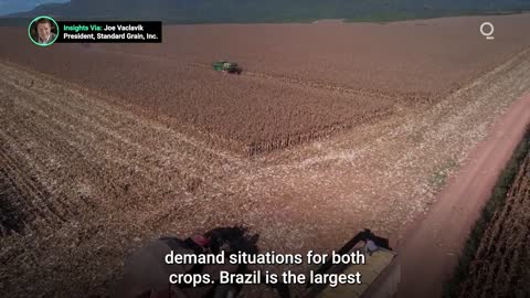 Brazil Forecasts Record Corn and Soybean Harvest