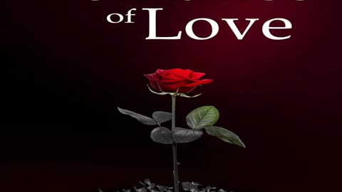 Book Review A Story of Romance of Love by Leroy Vincent