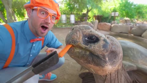 Blippi Visits a Zoo (Phoenix Zoo) _ Fun Animals for Children _ Blippi Toys